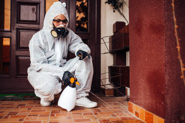 Attic and Crawl Space Rodent Treatment in Beach Park